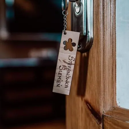 Semesterbostad Drewniana Stefanowka