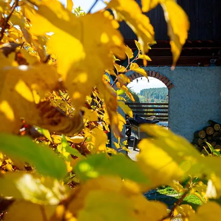 Semesterbostad Drewniana Stefanowka Slemien