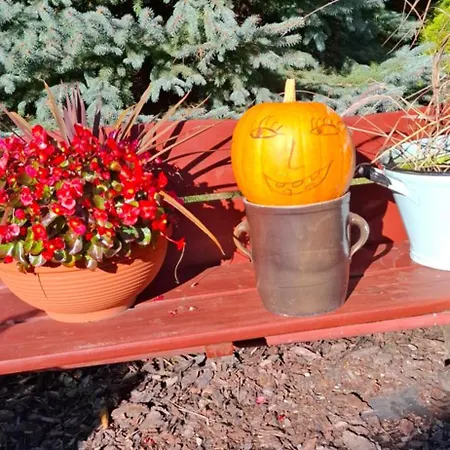 Drewniana Stefanowka Slemien