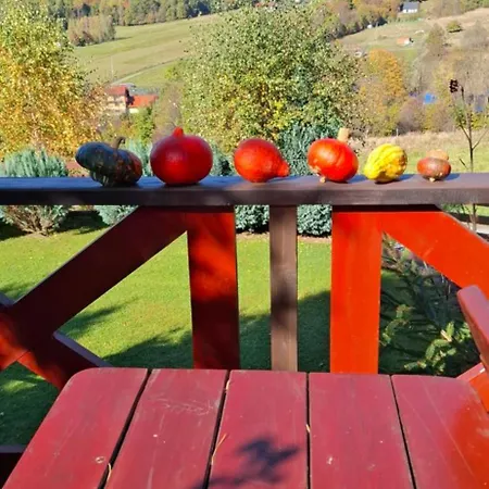 Prázdninový dům Drewniana Stefanowka Slemien