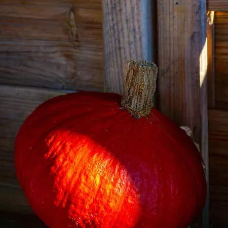 Drewniana Stefanowka * Slemien