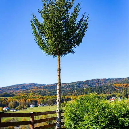 Drewniana Stefanowka