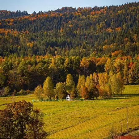 Semesterbostad Drewniana Stefanowka