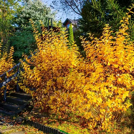 Drewniana Stefanowka Semesterbostad Slemien