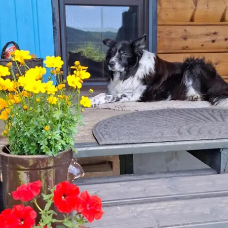 Drewniana Stefanowka *