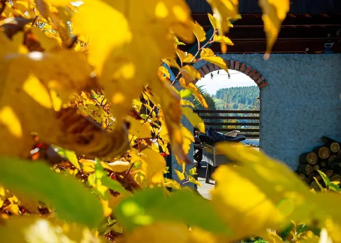 Prázdninový dům Drewniana Stefanowka Slemien