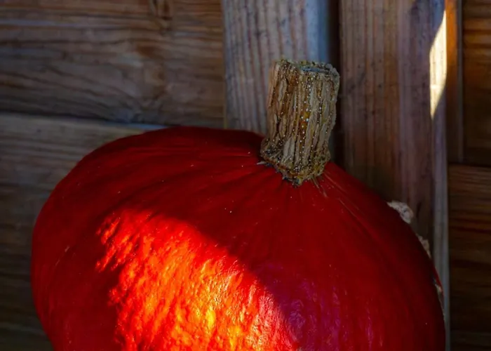 Drewniana Stefanowka * Slemien