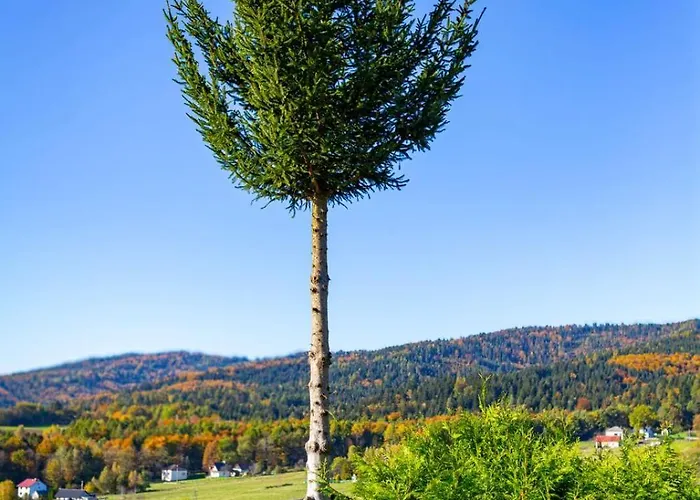 Drewniana Stefanowka