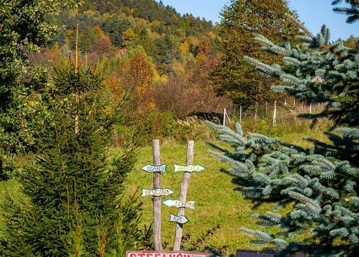 Drewniana Stefanowka *