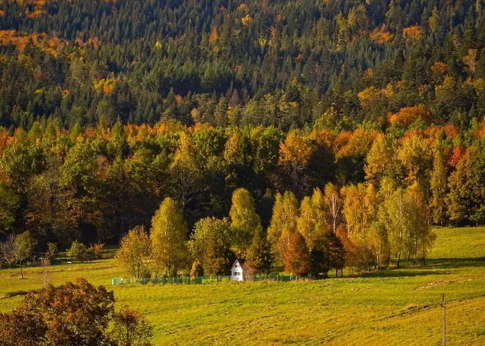 בית נופש Drewniana Stefanowka