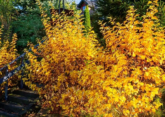 Drewniana Stefanowka בית נופש Slemien