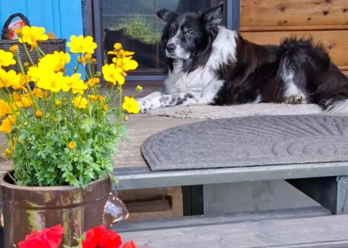 Drewniana Stefanowka *